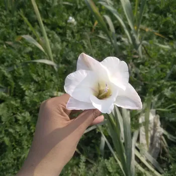 Tanvi Yadav home tutor in Sharda Nagar Kanpur